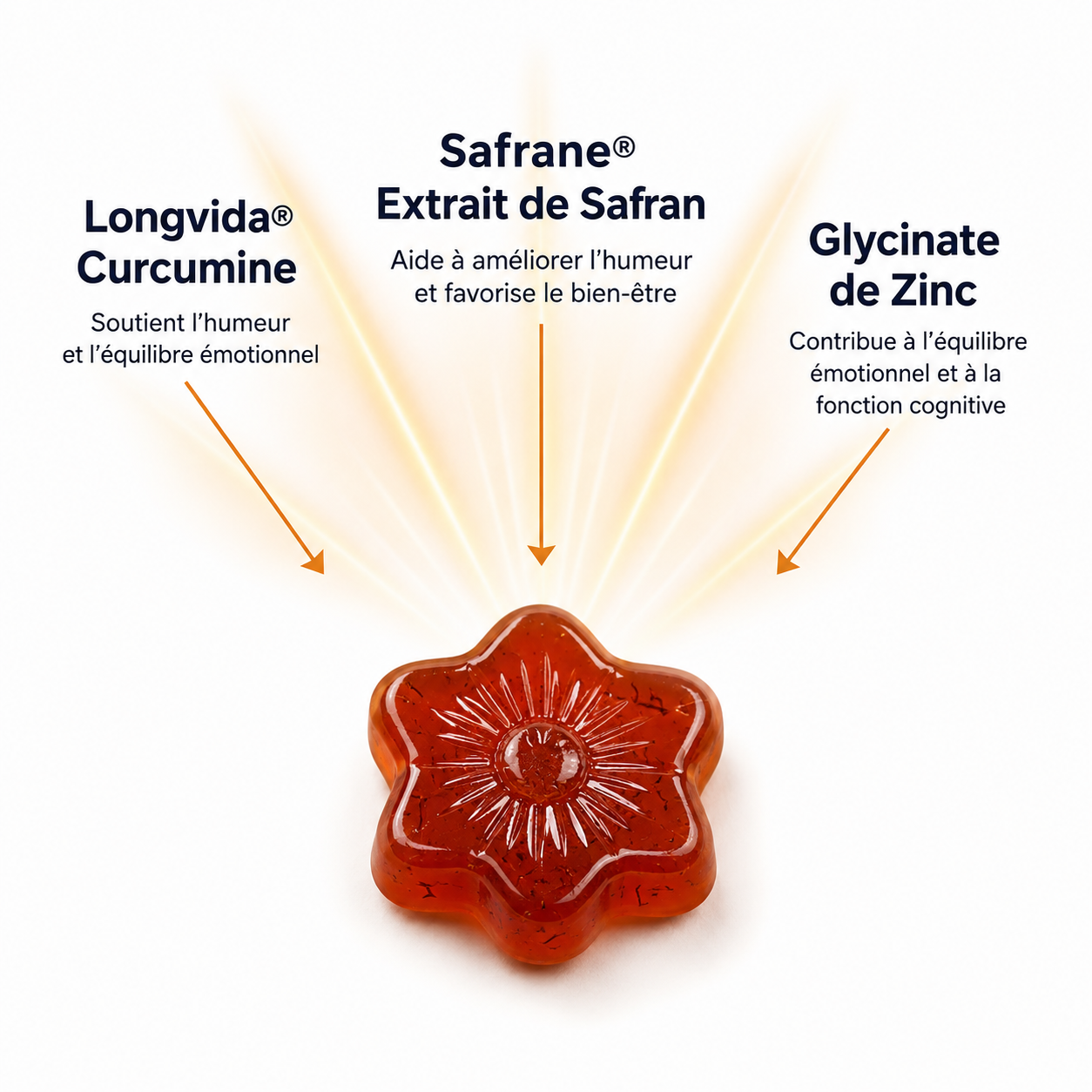 Zafora Pure Safran Plus Gommes (18 ans et plus)