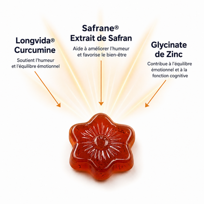 Zafora Pure Safran Plus Gommes (18 ans et plus)