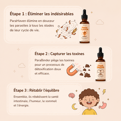 Zafora Kit Nettoyant